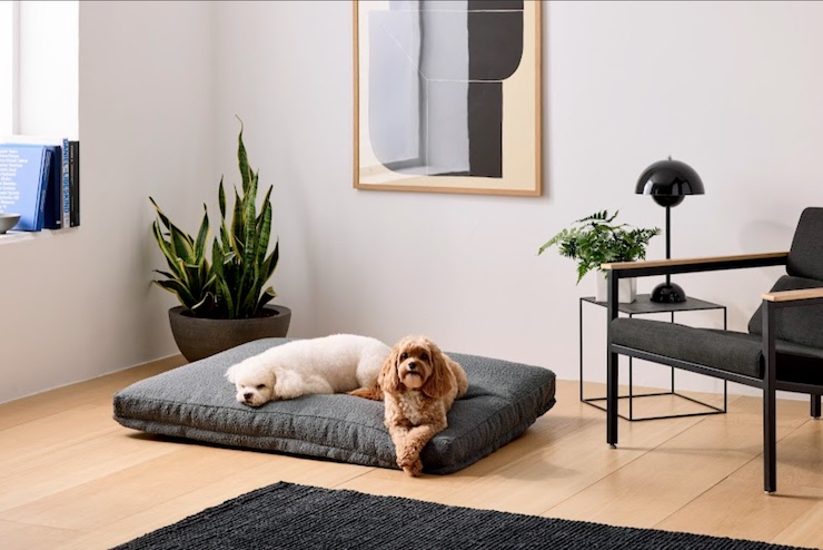 Saatva Dog Bed