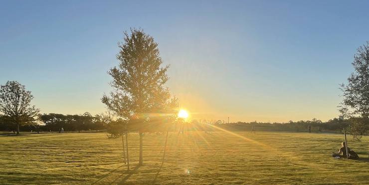 memorial park - uptown, houston