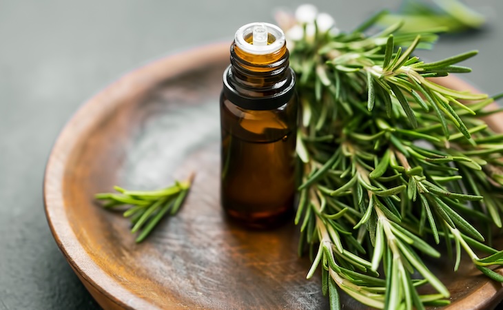 Rosemary essential oil bottle with rosemary herb bunch on wooden plate, aromatherapy herbal oil